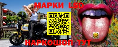 сатива Кингисепп