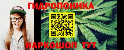 сатива Кингисепп
