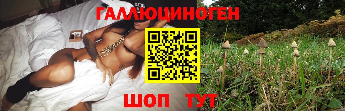 Псилоцибиновые грибы GOLDEN TEACHER Ярцево